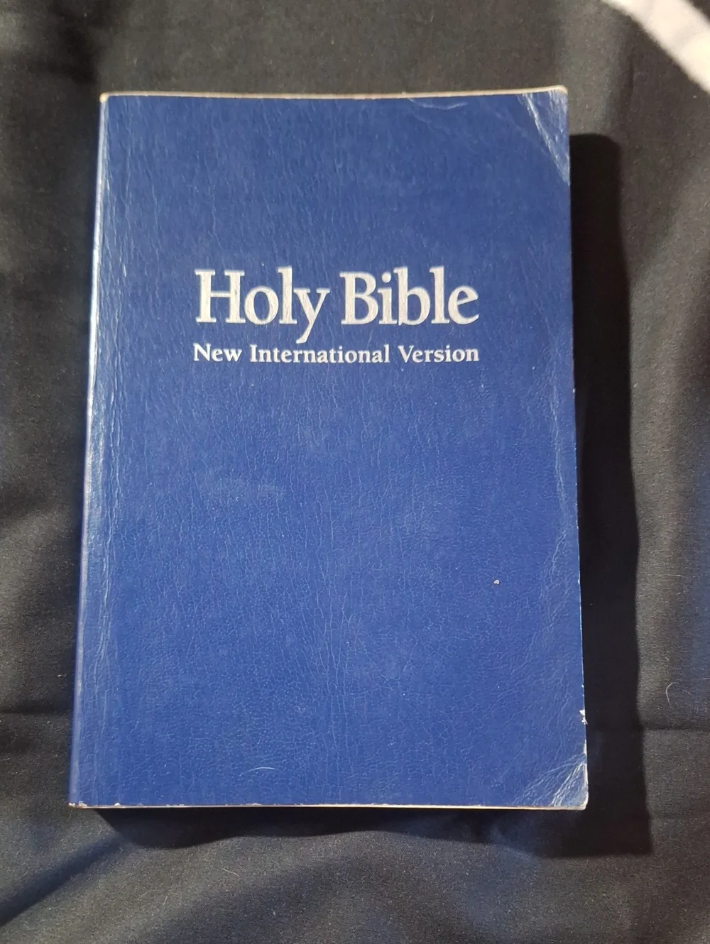 New International Version Holy Bible - Blue